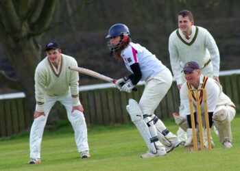 What Can We Learn From The Famous Cricket?
